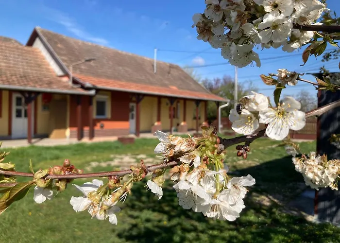 Tiszavirag Vendeghaz